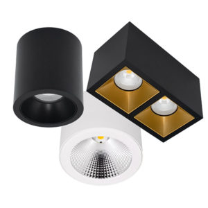 Surface Mounted Downlights