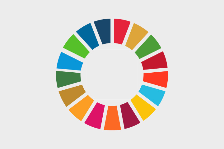 Sustainability - UN sustainability goals