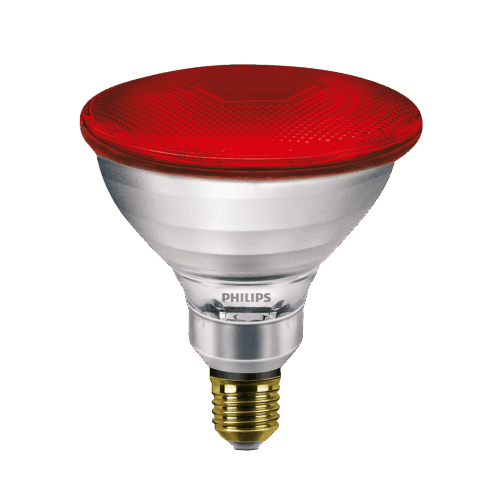 PAR38 IR 100W E27 230V 1CT/12 Red light