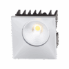 Rise L
