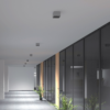 Phoenix Surface Downlight