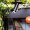 Zoom Mini Spotlight