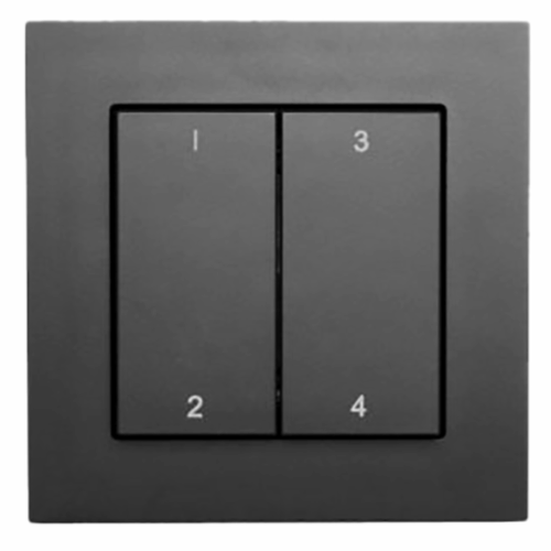 CBU Switch 55 anthracite matt 2-way rocker 4 channel numbers
