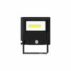 Michelle Floodlight