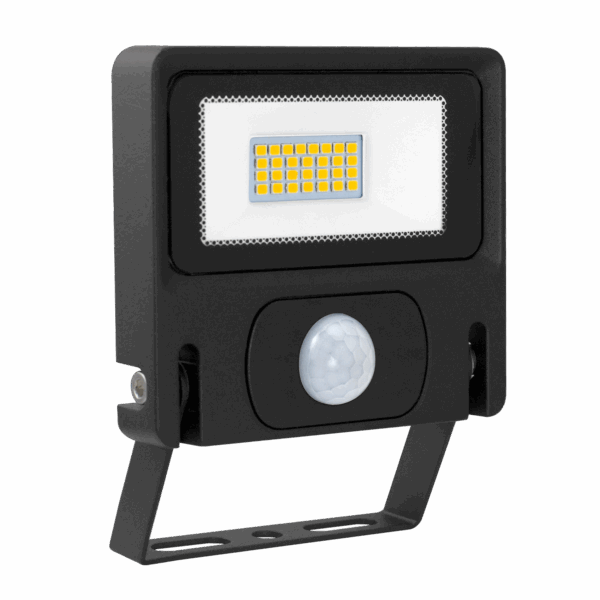 Michelle Floodlight