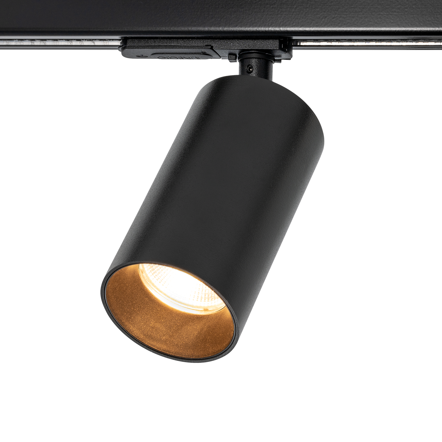 Tania Mini 1-Circuit