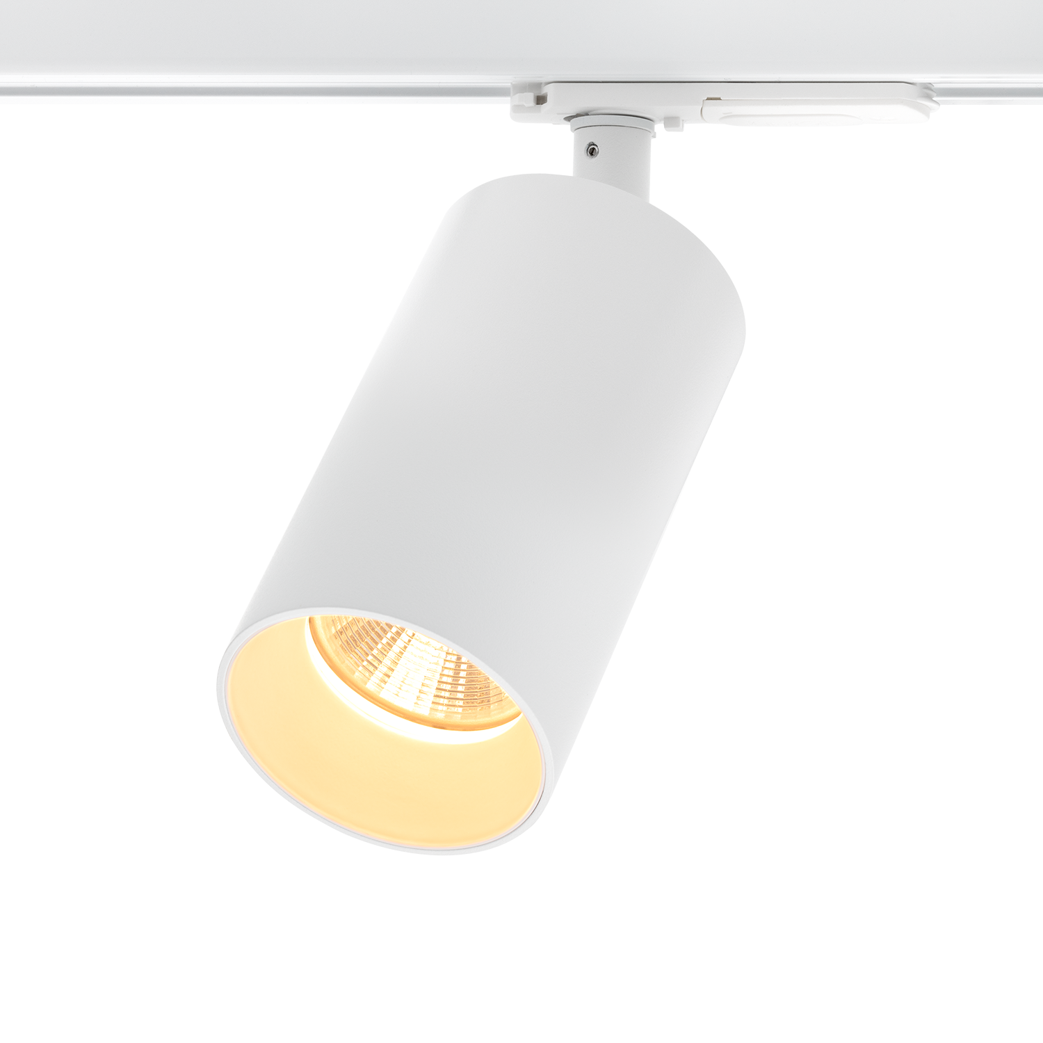 Tania Mini 1-Circuit