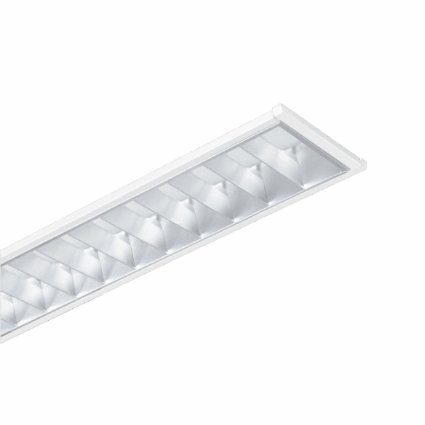 LED Relax Par