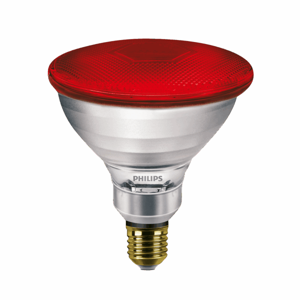 PAR38 IR 100W E27 230V  1CT/12 Red light