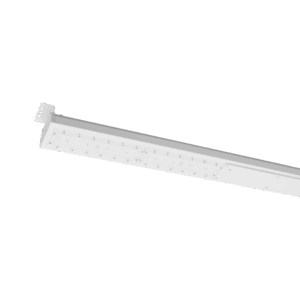 Columba