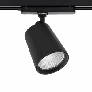 Cone Spotlight