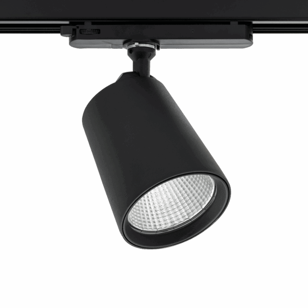 Cone Spotlight