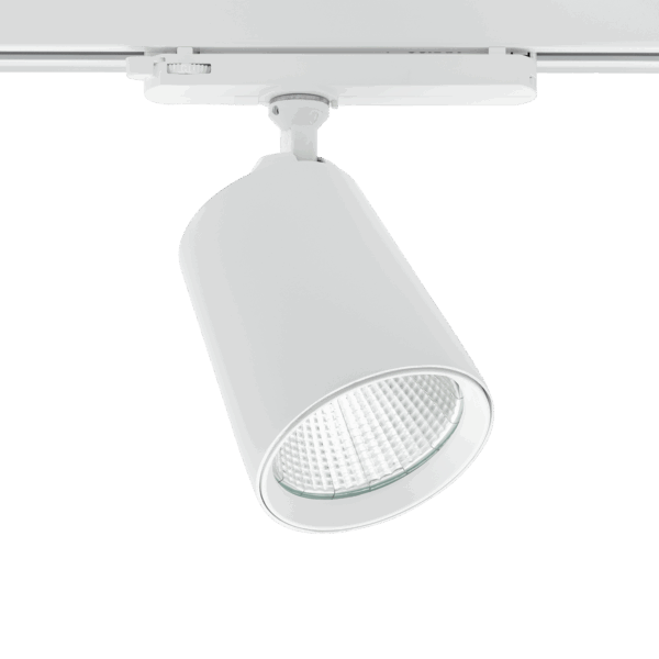 Cone Spotlight
