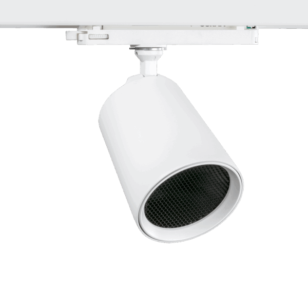 Cone Spotlight