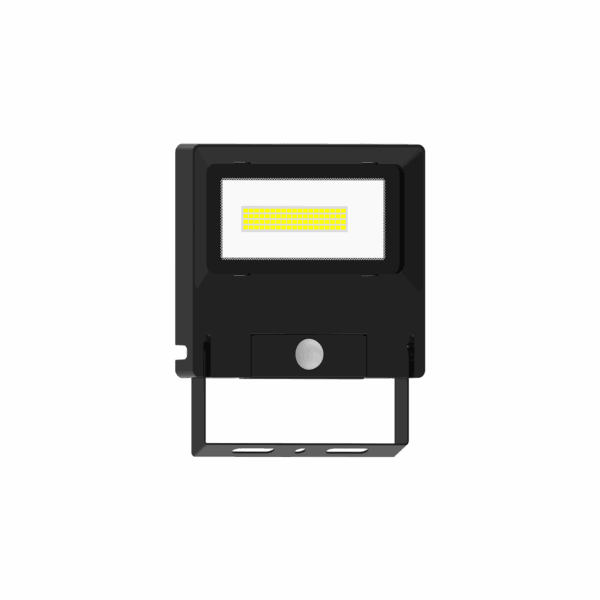 Michelle Floodlight