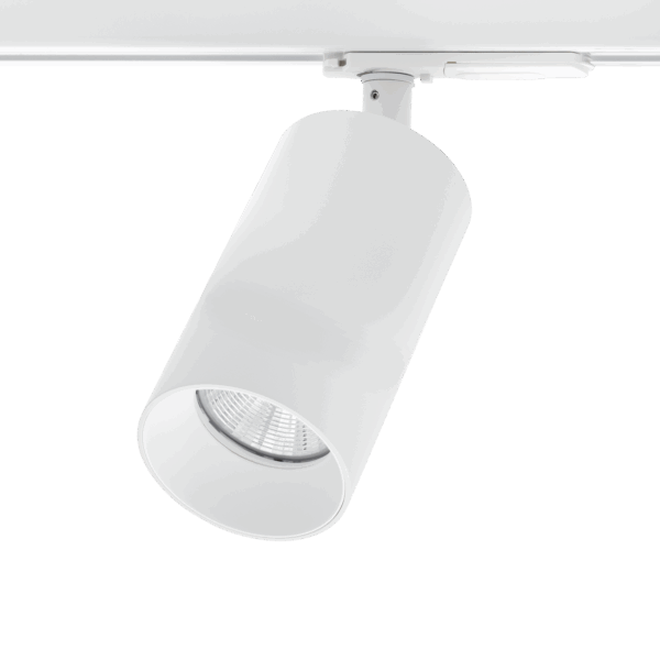 Tania Mini 1-Circuit