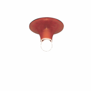 Teti Transparent Orange