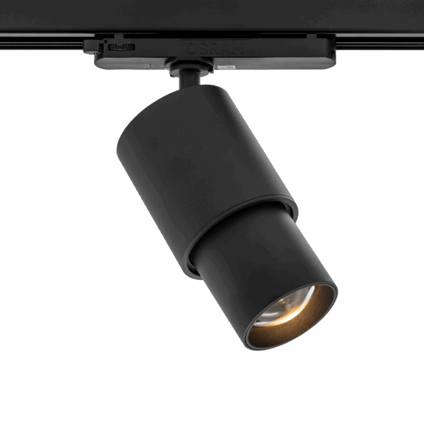Zoom Spotlight