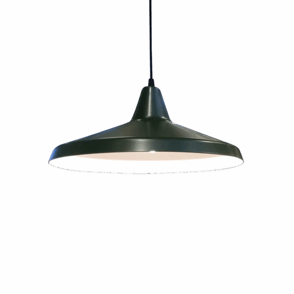 Cafe 40 Titan Pendel D400 E27 M.75W Color? 5m cable
