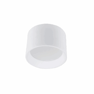 Antlia C