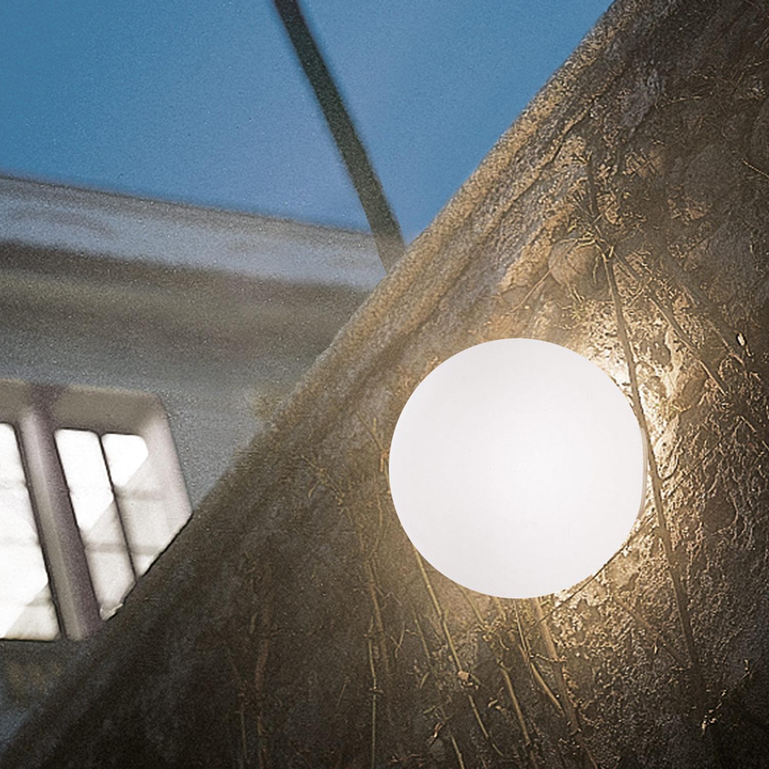 Dioscuri wall/ceiling 35