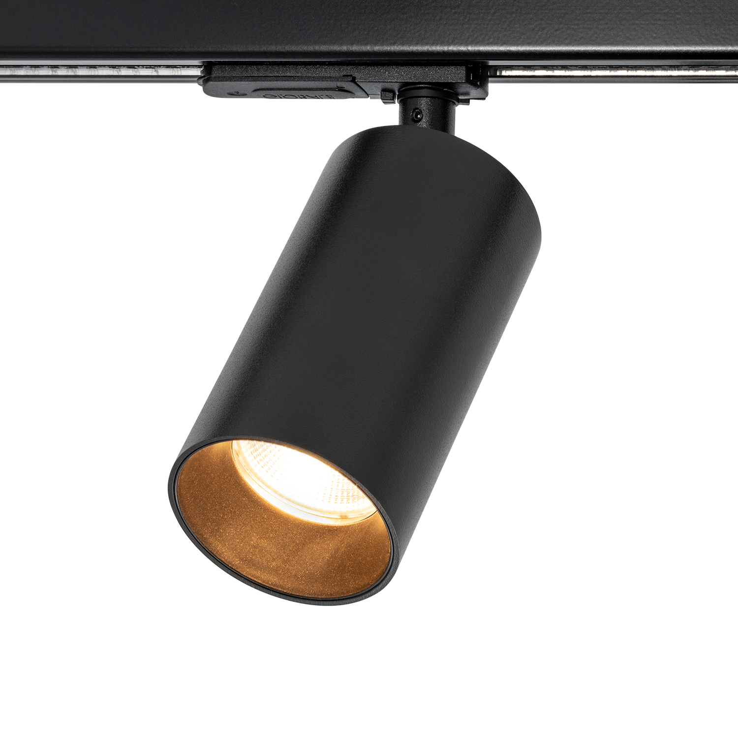 Tania Mini 1-Circuit