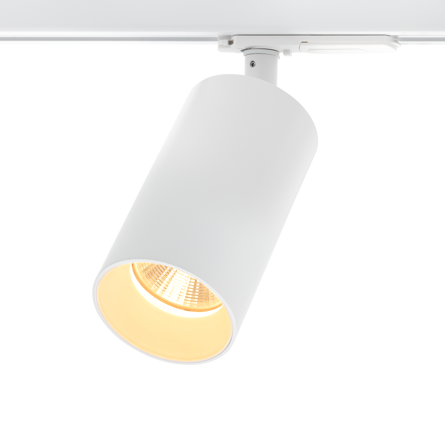 Tania Mini 1-Circuit