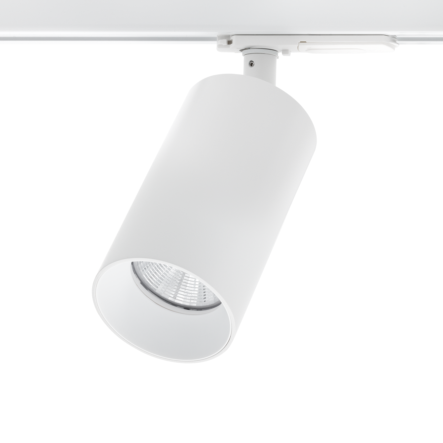 Tania Mini 1-Circuit