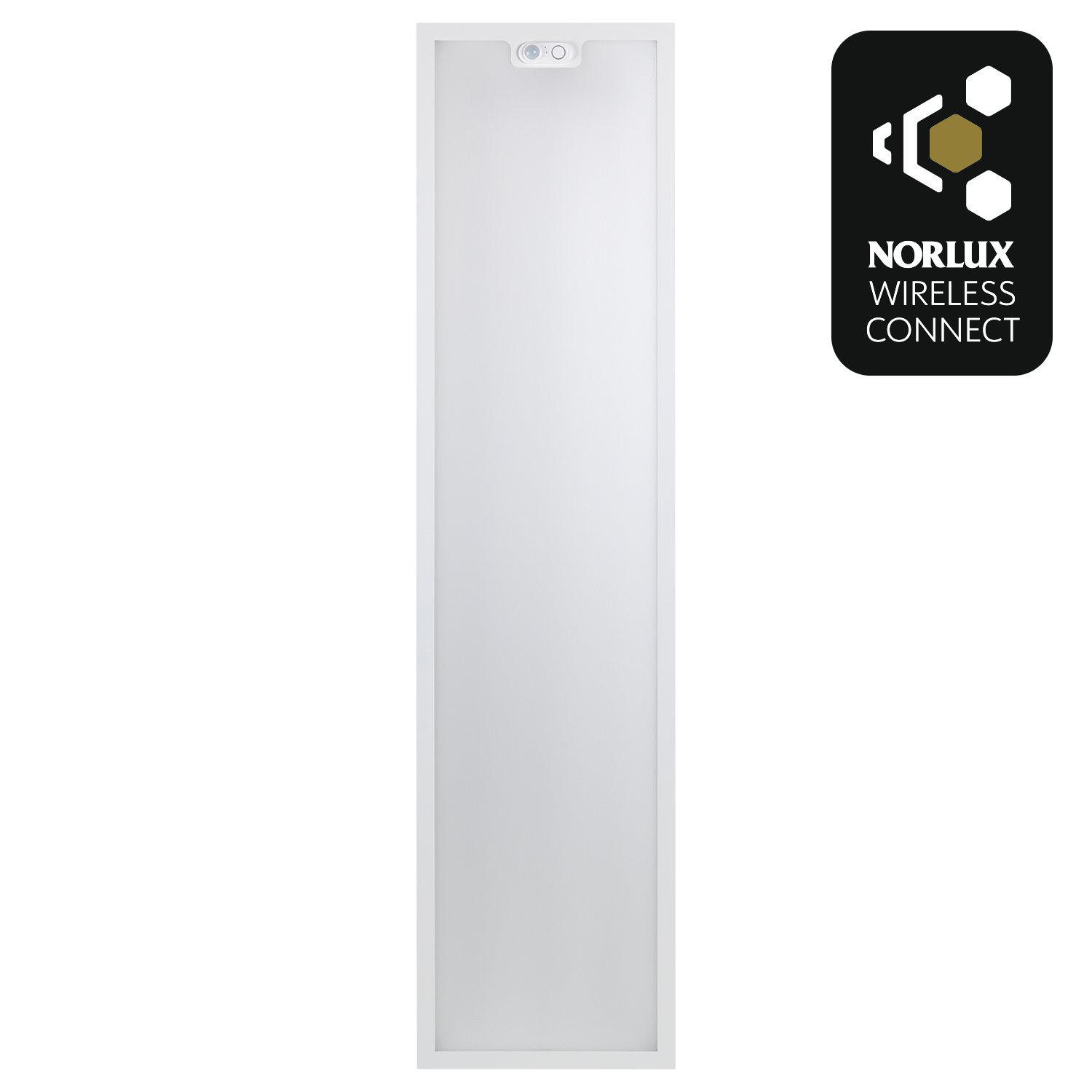 LED Panel 30x120 NWC
