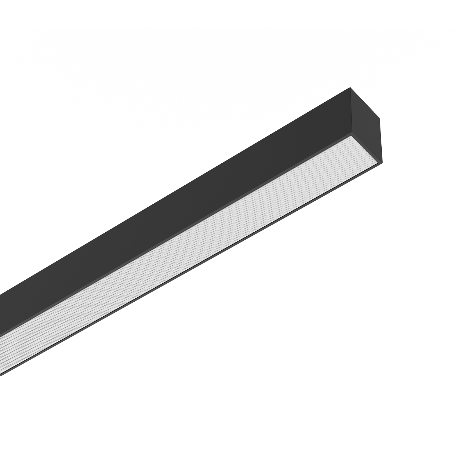 NLL 55